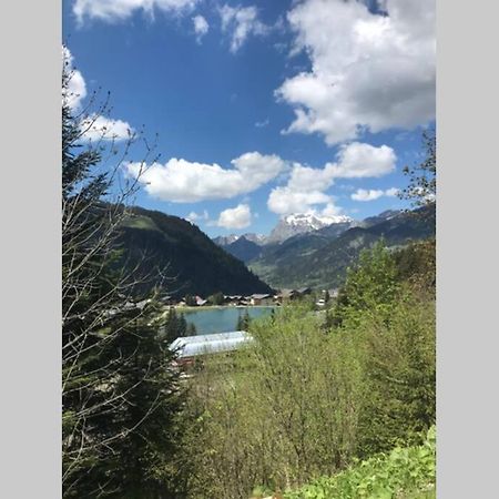 Studio Les Freinets Châtel Εξωτερικό φωτογραφία