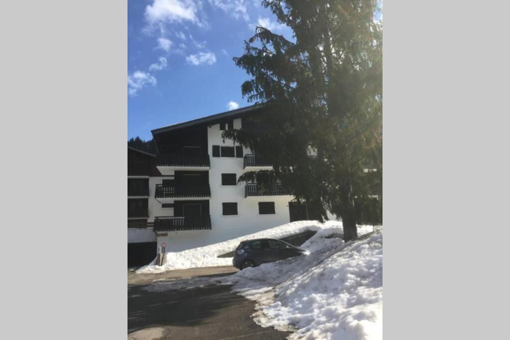 Studio Les Freinets Châtel Εξωτερικό φωτογραφία