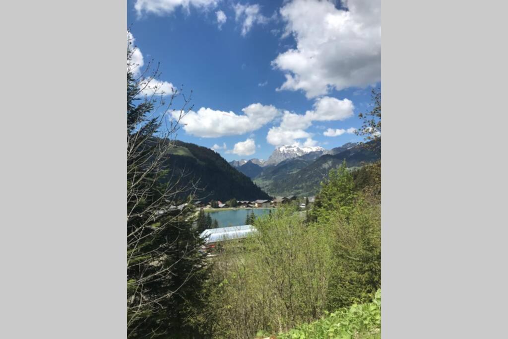 Studio Les Freinets Châtel Εξωτερικό φωτογραφία